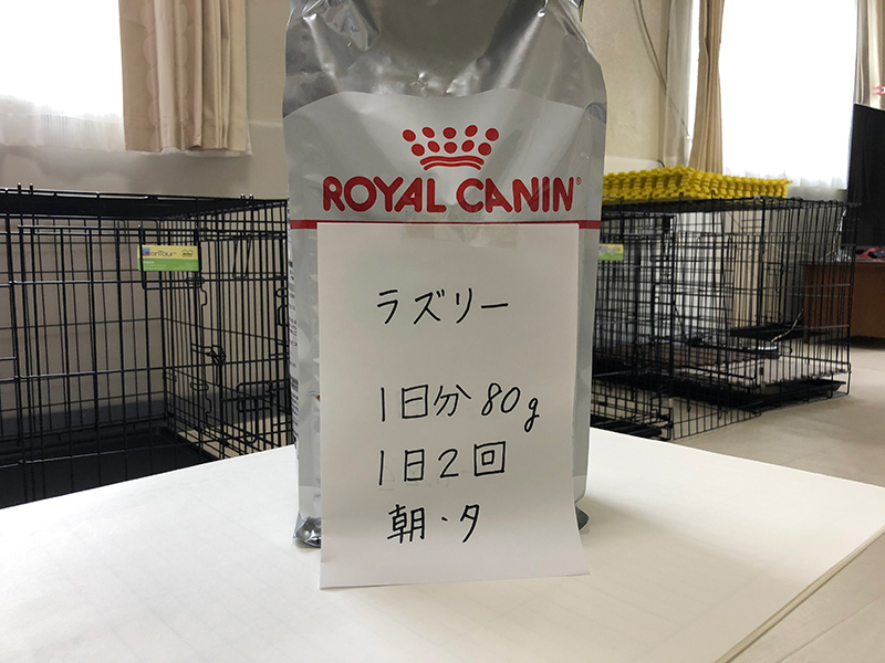 お泊まりセット