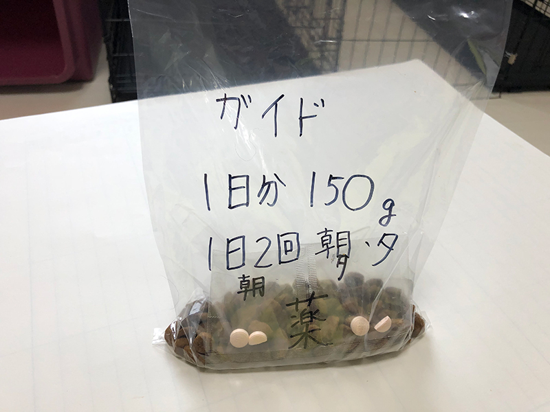 お泊まりセット
