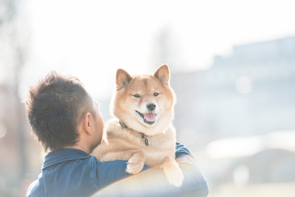 Happy Dog わんちゃんの過ごし方 すべてのわんちゃんをhappyに