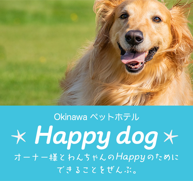 Happy dog